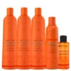 Kit Richée Progressive Argan E Ojon + Leave-in + Moisturizing Finishing Oil Straight Hydrated Hair Care