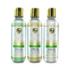 Kit Hamamelis Tea Tree Robson Peluquero Shampoo Mask And Shampoo For Hair Strength 3x300ml/10.14 Fl.oz